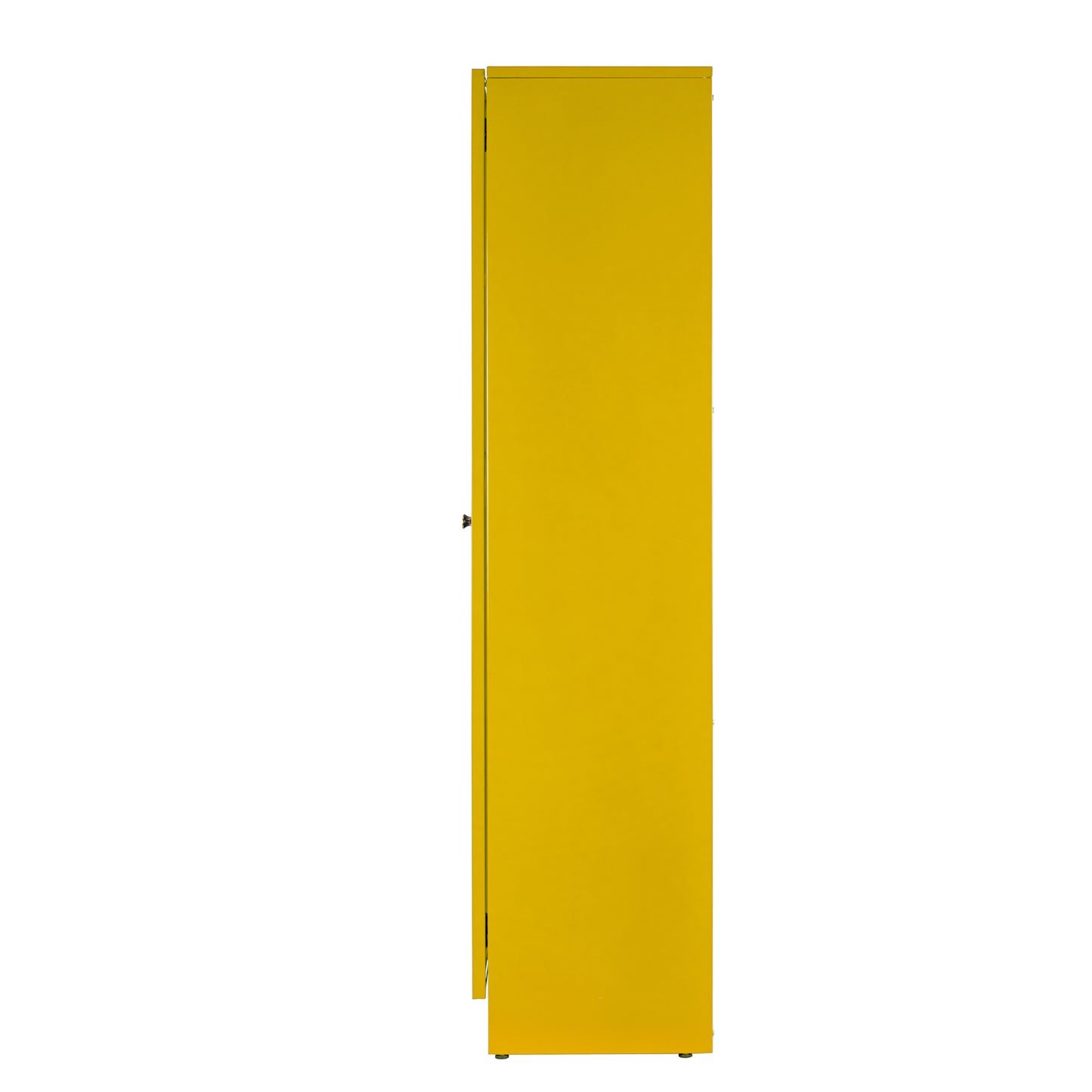 Avice 59-inch Yellow French Door Metal Cabinet