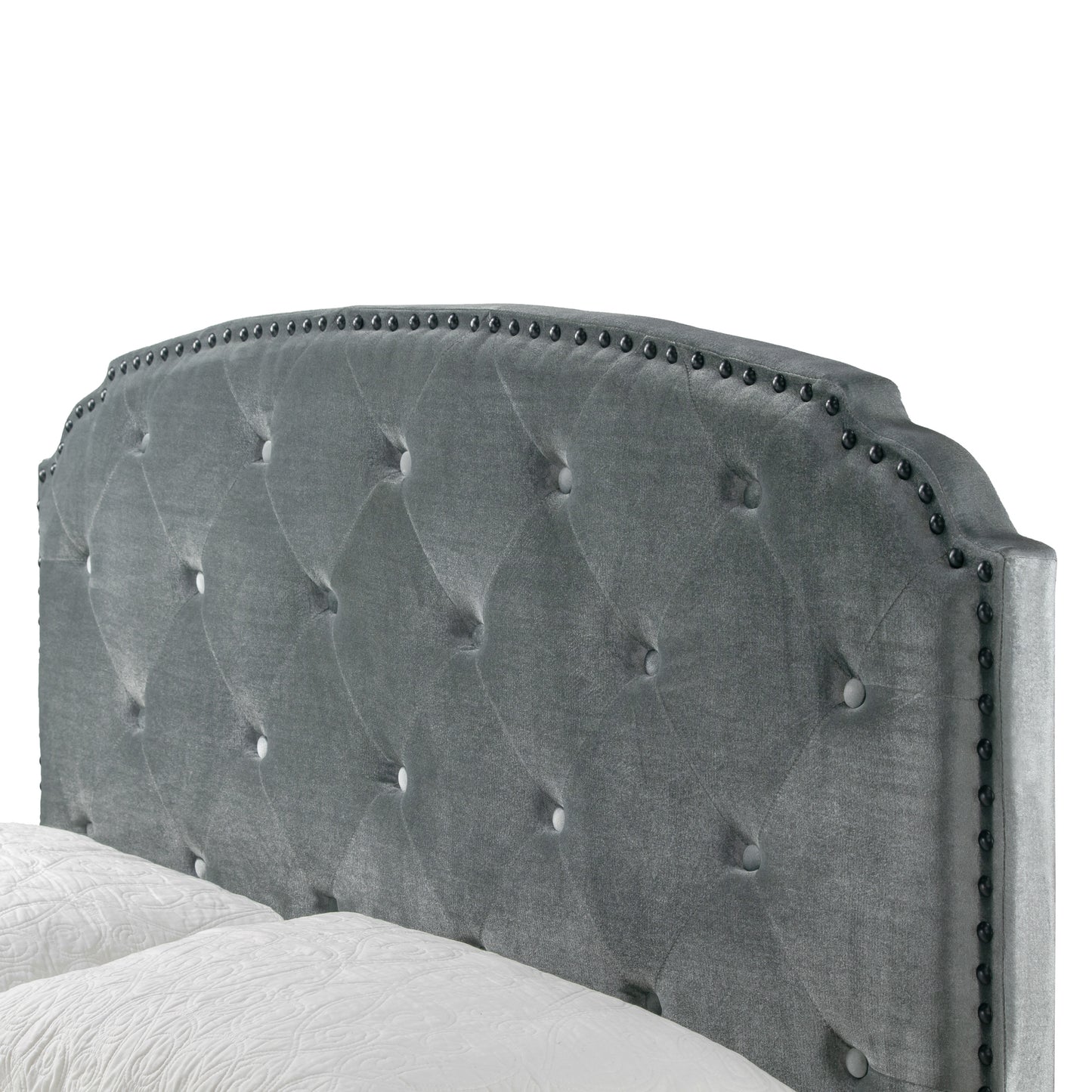 Arin Silver Grey Velvet Queen Bed with Button Tufting and Black Nail Head Trim