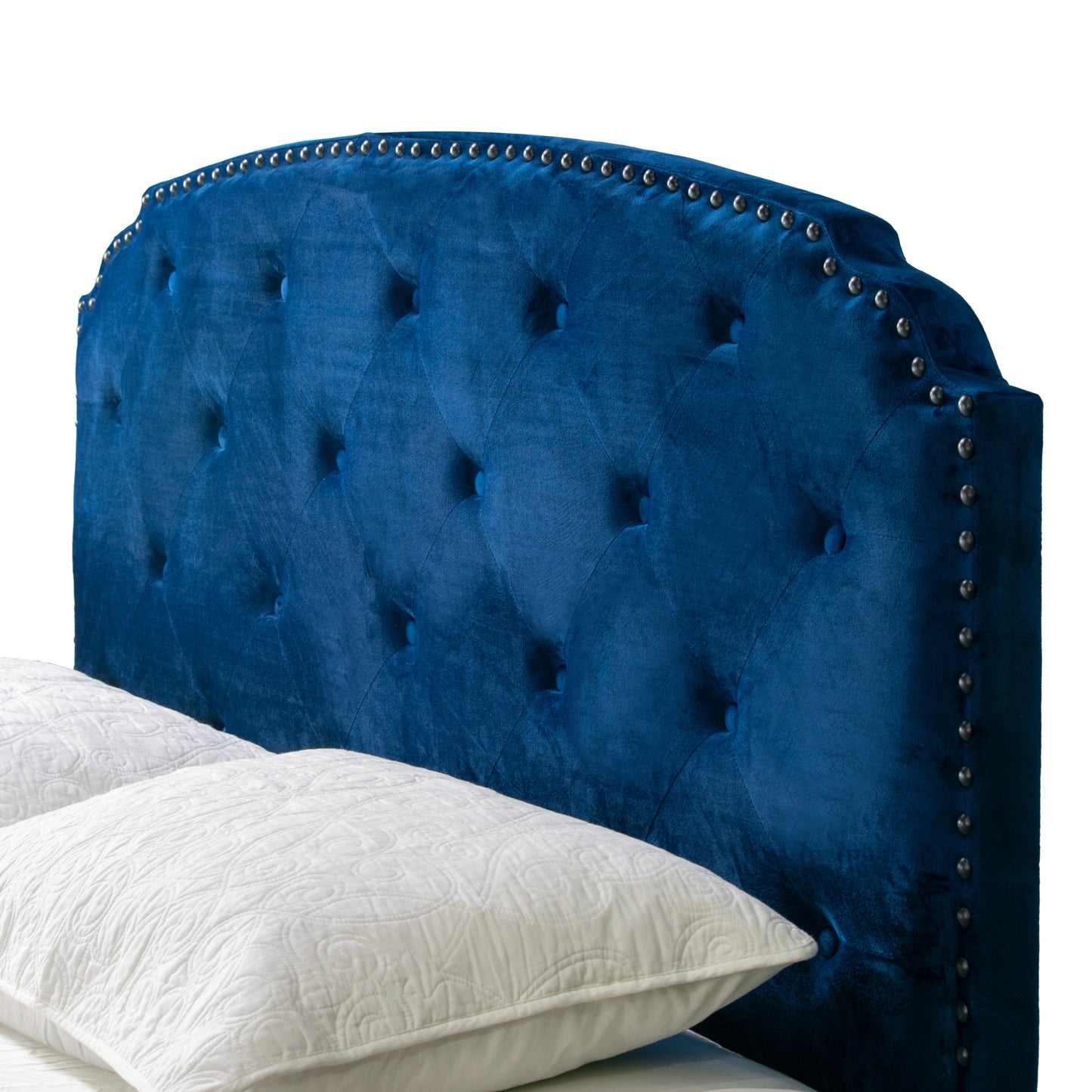 Arin Navy Blue Velvet Queen Bed with Button Tufting and Black Nail Head Trim