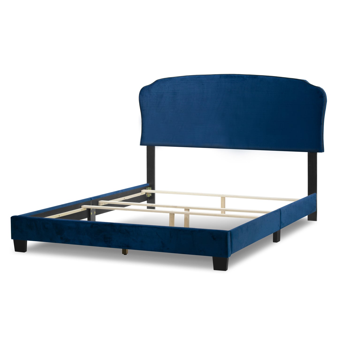 Aric Navy Blue Velvet Queen Bed with Contrasting Piping Accent