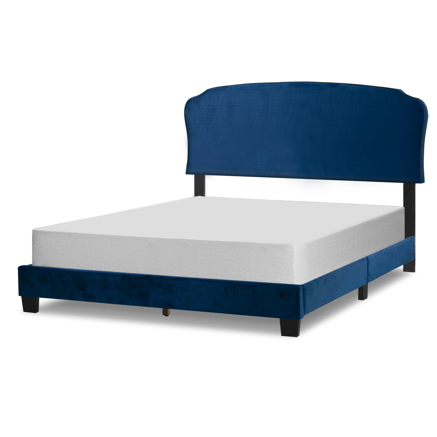 Aric Navy Blue Velvet Queen Bed with Contrasting Piping Accent