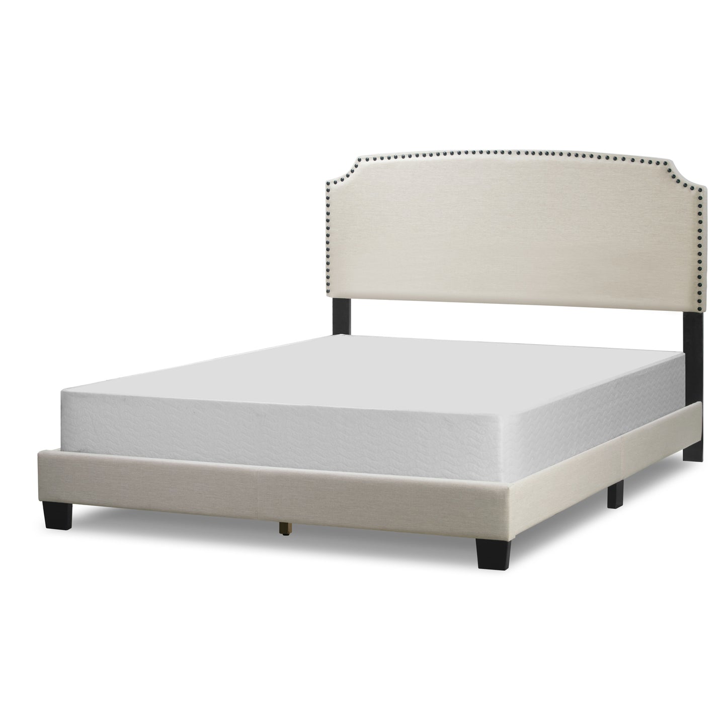 Arezo Beige Fabric Queen Bed with Black Nail Head Trim