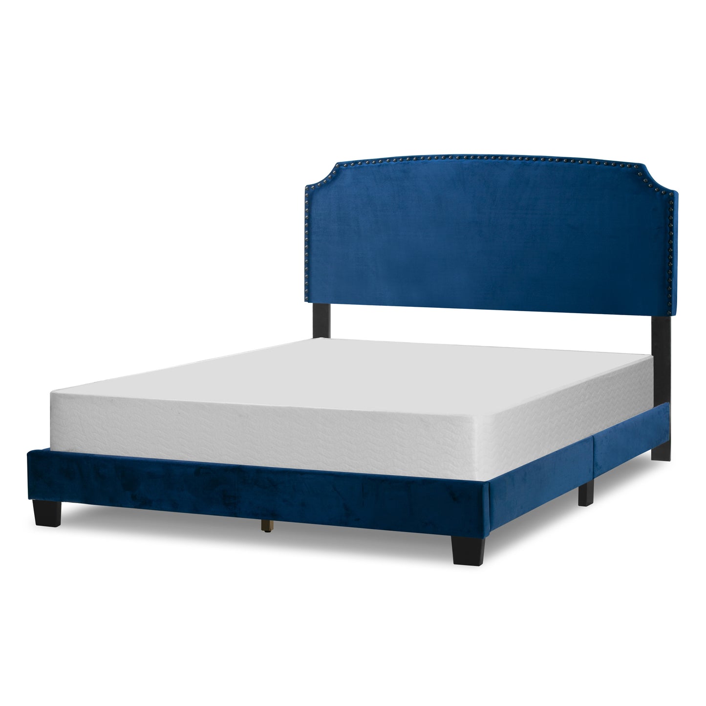 Arezo Navy Blue Velvet Queen Bed with Black Nail Head Trim